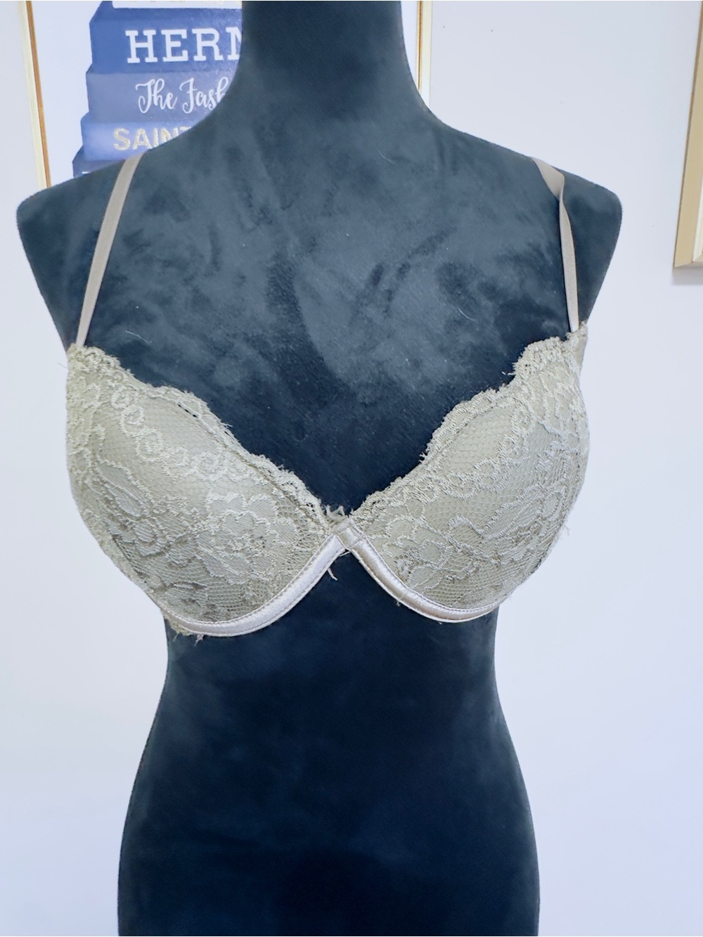 Lace Push-Up Bra in Light Olive - Women Intimates